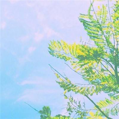 海贼时代ol破解版下载
