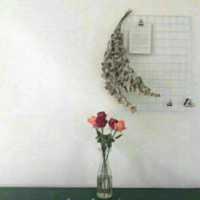 逆神传破解版下载