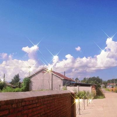 修真掌门路内购破解版下载