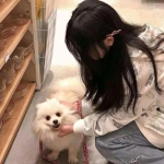 幻想英雄传说破解版下载
